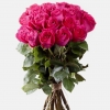 23 Розы Эквадор Розовый (70 см)