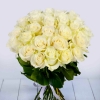 25 Роз Эквадор Белый (60 см)