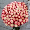 81 Роза Эквадор Розовый (70 см)