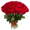 51 Роза Эквадор Красный (60 см)