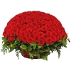 151 Роза Ред Наоми Красный (90 см)