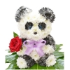 Панда с розой