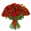 51 Роза Кустовая Красный (60 см)
