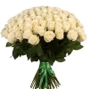 101 Роза Эквадор Белый (70 см)