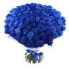 101 синяя роза (80 см)