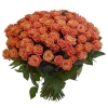 101 Роза Россия Оранжевый (70 см)