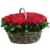 101 Роза Эквадор Красный в корзине (50 см)