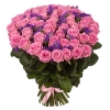 51 Роза Аква Розовый (60 см)