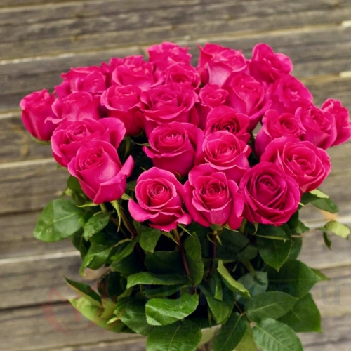 до 51 роза FunRose 29 Роз Эквадор Розовый (70 см) 