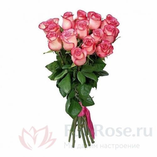 до 25 роз FunRose 15 Роз Эквадор Розовый (70 см) 