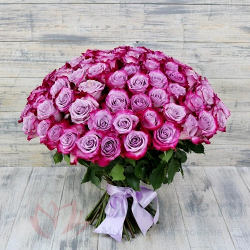 до 51 роза FunRose 51 Роза Эквадор Фиолетовый (70 см) 