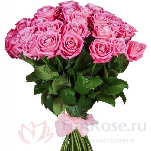 до 51 роза FunRose 27 Роз Россия Розовый (60 см) 