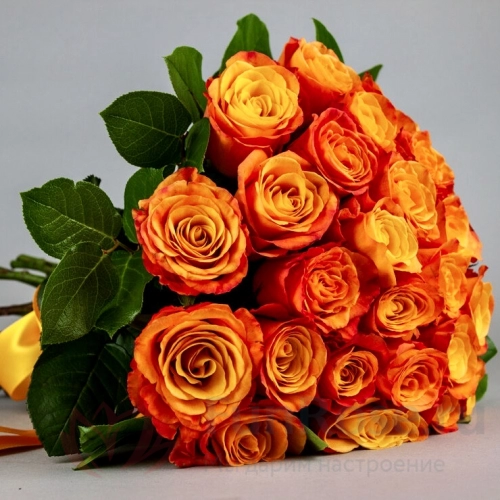 до 51 роза FunRose 27 Роз Эквадор Оранжевых (70 см) 
