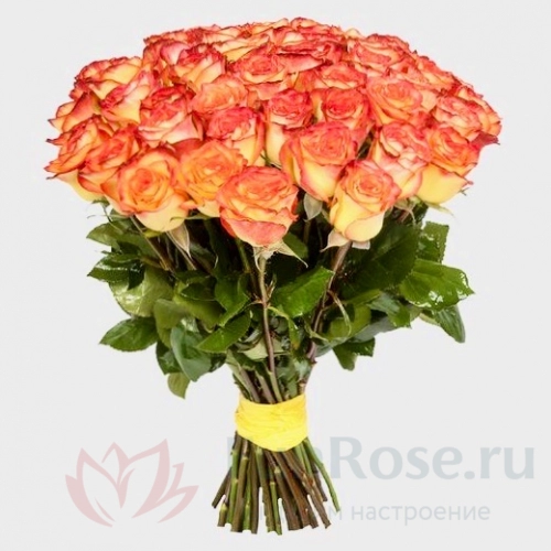 до 51 роза FunRose 51 Роза  Эквадор Оранжевый (60 см) 