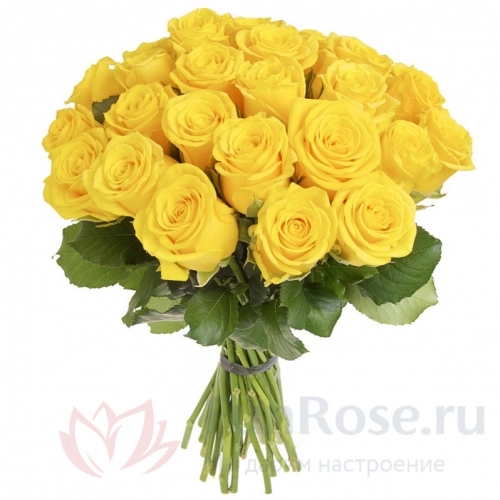 Розы FunRose 23 Розы Эквадор Желтый (60 см) 