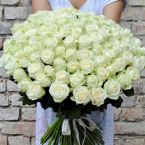 101 роза FunRose 81 Роза Эквадор Белых (70 см) 