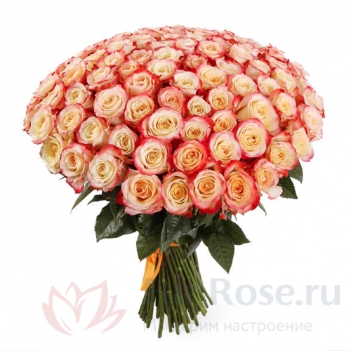 151 роза и более FunRose 151 Роза Эквадор Розовый (70 см) 