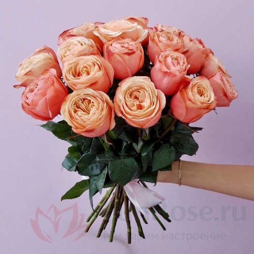 Пионовидная роза FunRose 17 Роз Кахала Эквадор (60 см) 