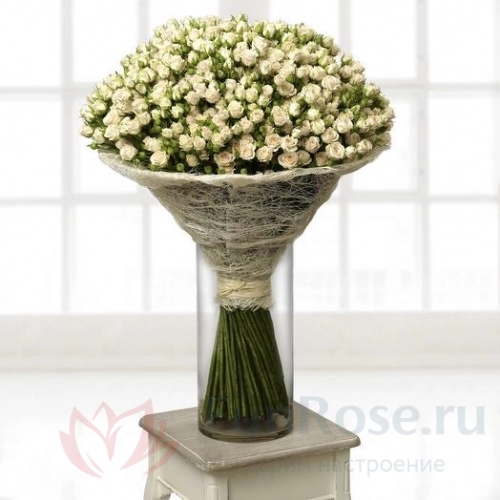 101 роза FunRose 101 Роза Кустовая Белый (70 см) 