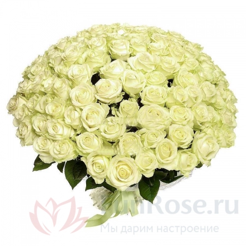 101 роза FunRose 101 Роза Россия Белый (60 см) 