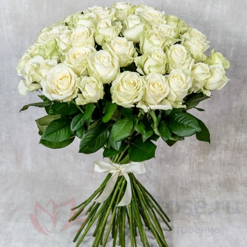 Розы FunRose 35 Роз Россия Белые (60 см) 