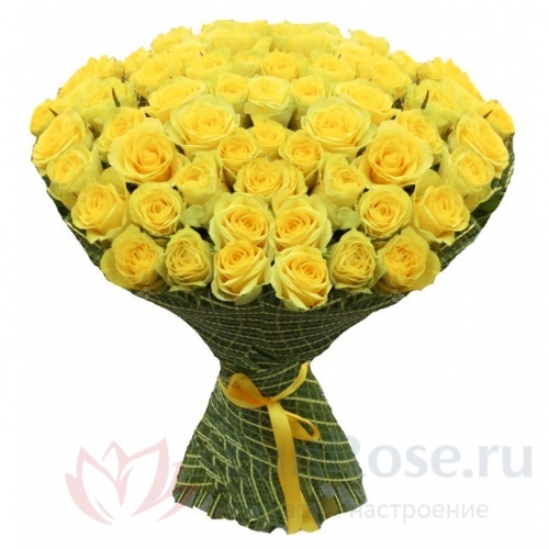 Розы FunRose 51 Роза Россия Желтая (60 см) 