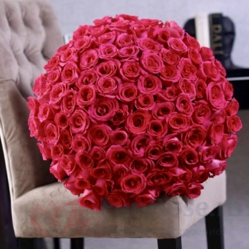 101 роза FunRose 101 Роза Эквадор Розовый (60 см) 