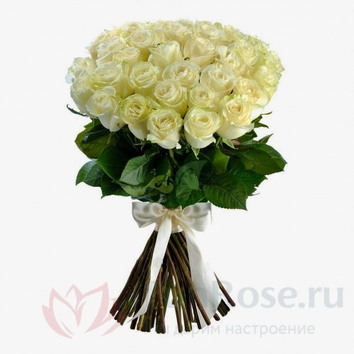 Розы FunRose 35 Роз Эквадор Белый (70 см) 