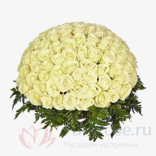 151 роза и более FunRose 201 Роза Россия Белая (60 см) 