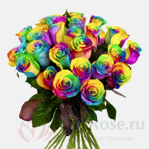Радужная роза FunRose 23 Роз Радужных (60 см) 