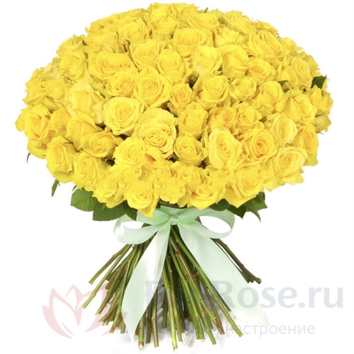 Розы FunRose 101 Роза Россия Желтая (60 см) 