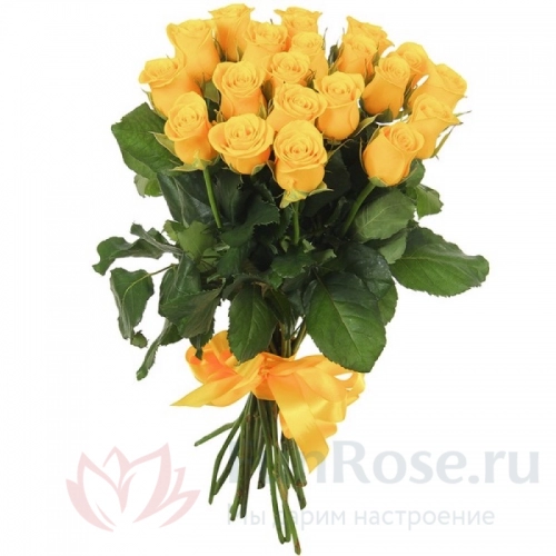 Розы FunRose 19 Роз Эквадор Желтый (70 см) 