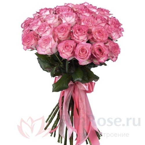 до 25 роз FunRose 25 Роз Джумилия Розовый (60 см) 