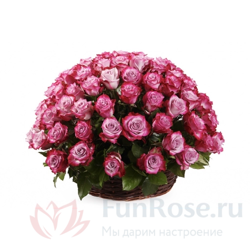 101 роза FunRose 101 Роза Дип Перпл Розовая в коробке (60 см) 