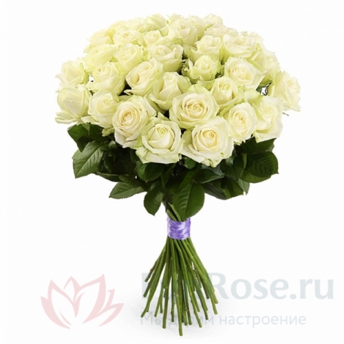 до 51 роза FunRose 29 Роз Россия Белых (70 см) 