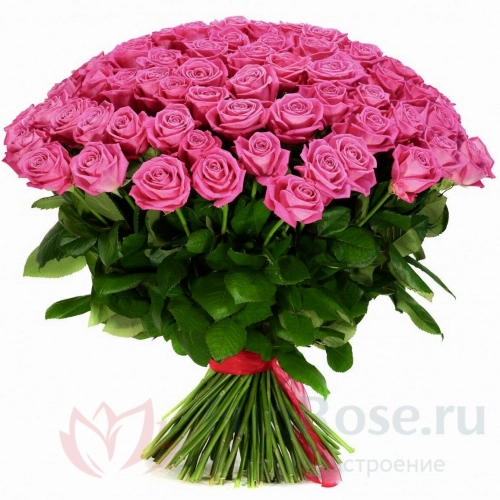 101 роза FunRose 101 Роза Россия Розовая (60 см) 
