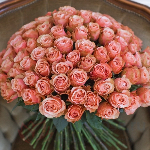 101 роза FunRose 101 Розы Эквадор Оранжевый (60 см) 