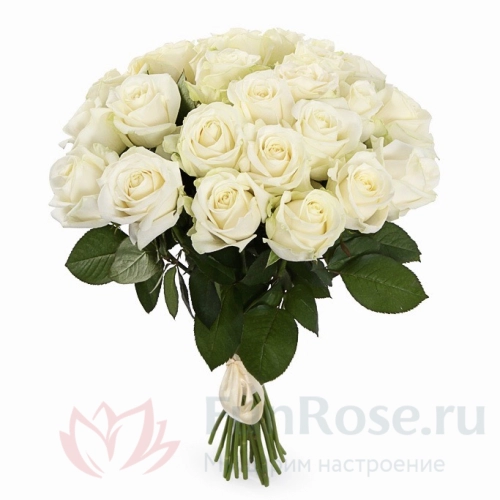 до 25 роз FunRose 25 Роз Россия Белый (60 см) 