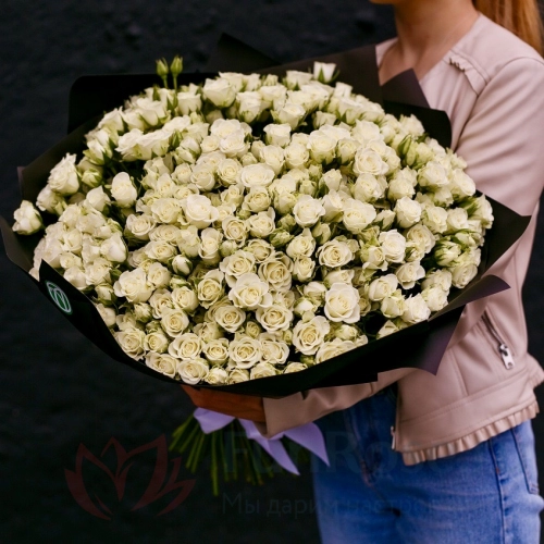 Кустовая роза FunRose 101 Роза Кустовая Белый (70 см) 