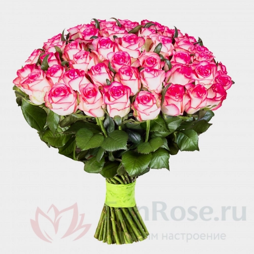 до 51 роза FunRose 51 Розы Россия Розовый (60 см) 