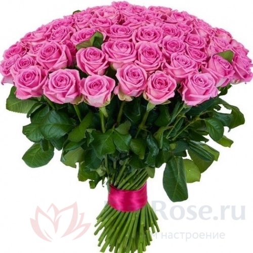 до 51 роза FunRose 51 Роза Россия Розовый (60 см) 