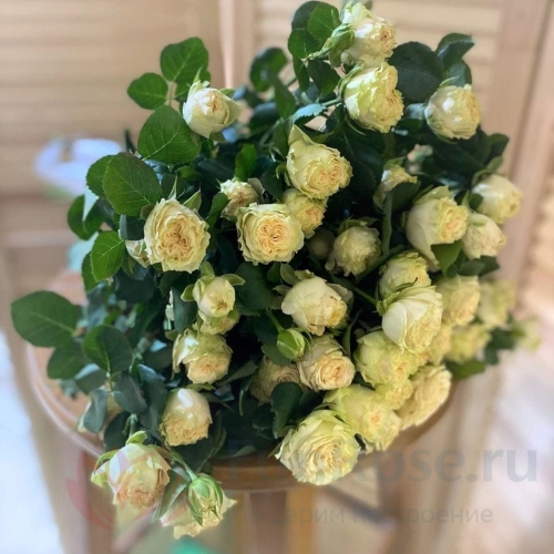 Кустовая роза FunRose 15 Роз Кустовая Белая (50 см) 