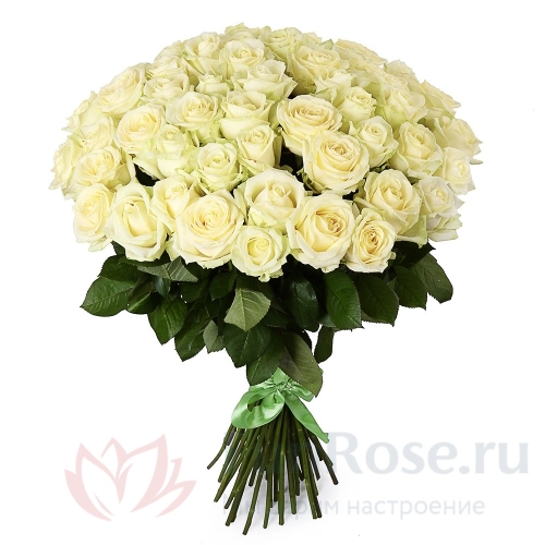 до 51 роза FunRose 35 Роз Россия Белый (80 см) 