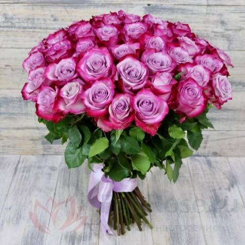 до 51 роза FunRose 35 Роз Эквадор Фиолетовый (60 см) 