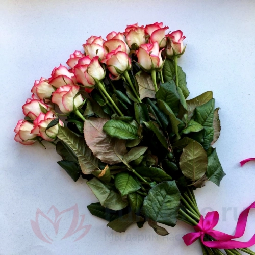 до 25 роз FunRose 15 Роз Джумилия Розовый(60 см) 