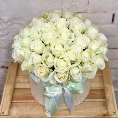 101 роза FunRose 101 Роза Россия Белая (50 см) 