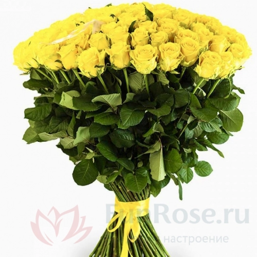 Розы FunRose 101 Роза Эквадор Желтая (80 см) 