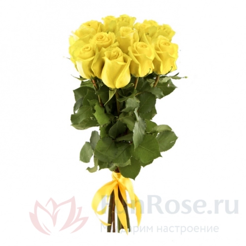 Розы FunRose 13 Роз Эквадор Желтых (70 см) 