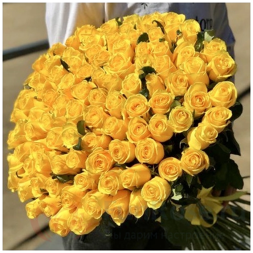 Розы FunRose 151 Роза Эквадор Желтый (80 см) 