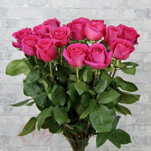 до 25 роз FunRose 15 Роз Эквадор Розовые (70 см) 